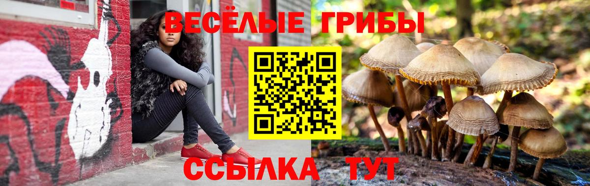 Псилоцибиновые грибы мицелий Чистополь